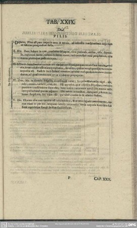 Tab. XXIX. De Pilis