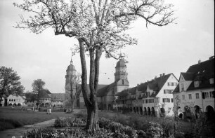 Freudenstadt: Westseite des Marktplatzes mit blühendem Baum