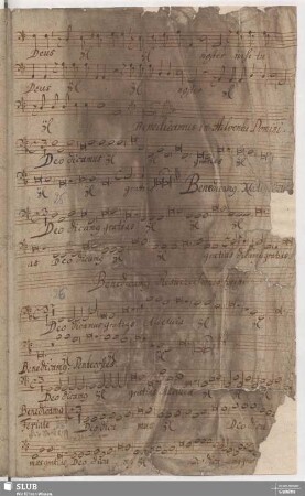 Deo dicamus gratias - In Feriale