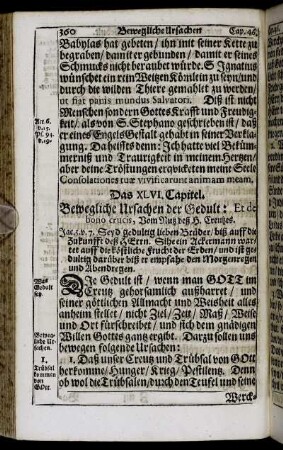 Das XLVI. Capitel. - Das L. Capitel.