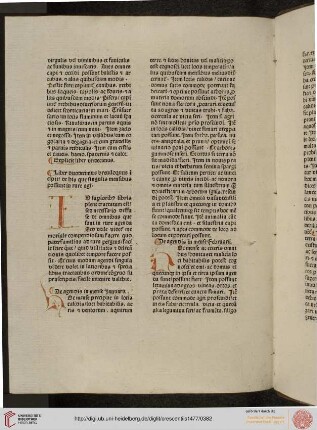 Liber duodecimus