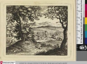 [Die Ameise und die Raupe; La Chenille et la Fourmi]