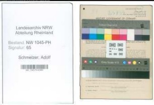 Entnazifizierung Adolf Schmelzer , geb. 29.04.1906 (Krankenpfleger)