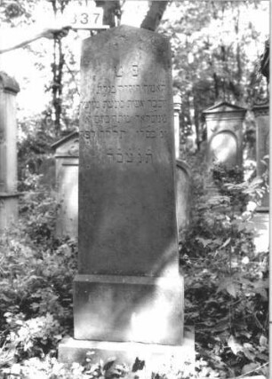 Grabstein 837