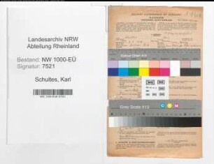 Entnazifizierung Karl Schultes, geb. 08.09.1908 (Studienrat)