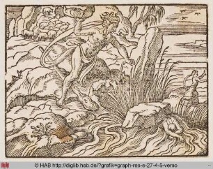 Polyphem, Acis und Galathea.