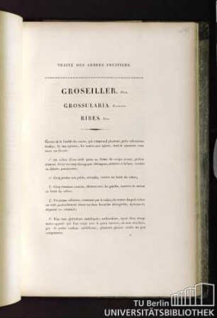 Groseiller. Duh. Grossularia. Tournef. Ribes. Lin.