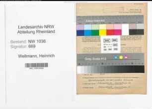 Entnazifizierung Heinrich Wellmann , geb. 07.03.1895 (Steiger)