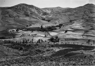 Farmgelände : Blick auf ein Farmgelände, das vermutlich im Besitz eines Europäers ist. Im Vordergrund befindet sich unbearbeitetes Land, dahinter Gersten- und Weizenfelder, Ölbäume und an Berghängen Weiden und Macchiebüsche.