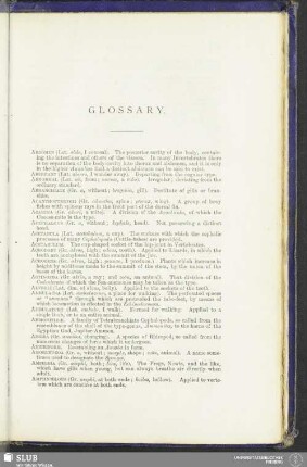 Glossary