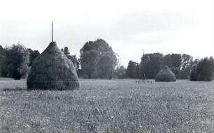 Heuschober auf einer Wiese bei Lehde : Synowe kopjeno/stog na łuce njedaloko Lěd