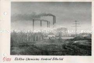 Blick auf das Elektro-Chemische-Kombinat Bitterfeld