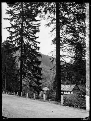 Oberer Wölfelsgrund