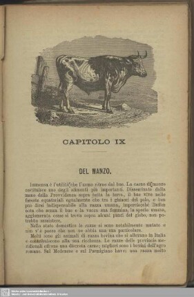 Capitolo IX. Del manzo