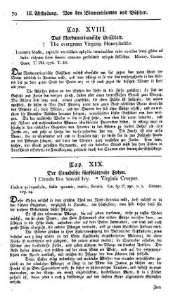 Cap. XIX. Das canadische fünfblätterichte Epheu. Hedera quinquefolia. Lin.