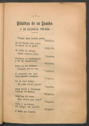 Vidalitas de un Gaucho a su adorada prensa