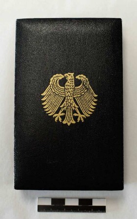 Grubenwehr-Ehrenzeichen in Gold