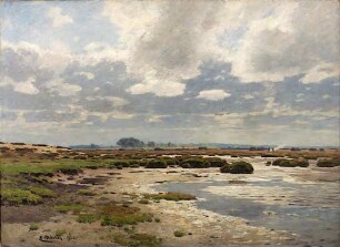 Torfmoor