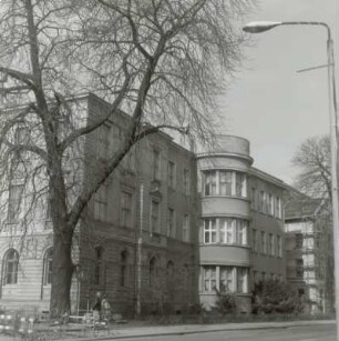 Gymnasium, Zwickau