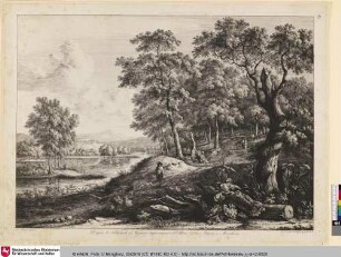 [Grand Paysage avec Chasseur; d'aprés Wynantz]