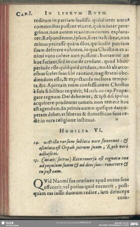 Homilia VI