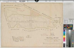 Olpe (Olpe), Teilung der Olper Mark, Brouillonkarte