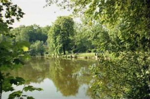 Mühlenteich