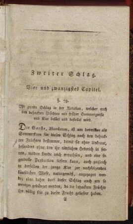 Zweiter Schlag. Vier und zwanzigstes Capitel