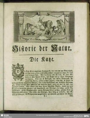 Die Katze