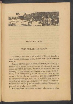 Capítulo CXVI - Para seguir luchando