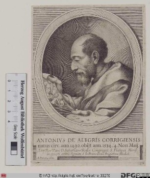 Bildnis Antonio Allegri, gen. Correggio