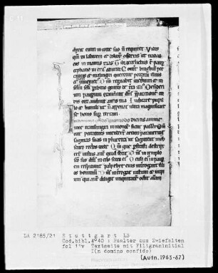 Psalterium mit Kalender — Initiale I (n domino confido), Folio 11 verso