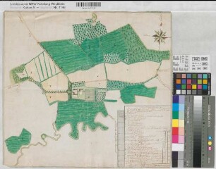 Bottrop (Bottrop) Lage und Grundstücke des Hauses Knippenburg (Rittergut) 1780 100 Ruten = 15,6 cm 43 x 46 kol. Zeichnung F. W. Mülhens KSM Nr. 658