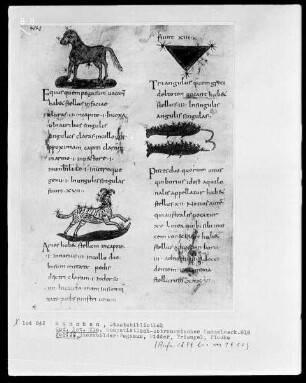 Komputistisch-Astronomisches Sammelwerk — Bildseite mit vier Miniaturen, Folio 118verso