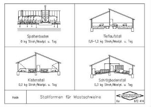 Stallformen für Mastschweine