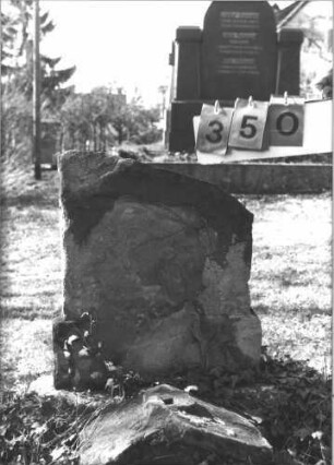Grabstein 350 (Index: 99786249) Zustand: obere Hälfte abgebrochen, Rest vollständig abgeblättert Besonderheit: keine Maßangaben: Grabstein 350
