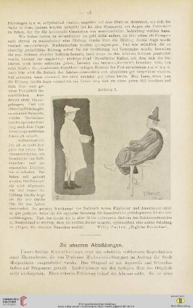 Zu unseren Abbildungen