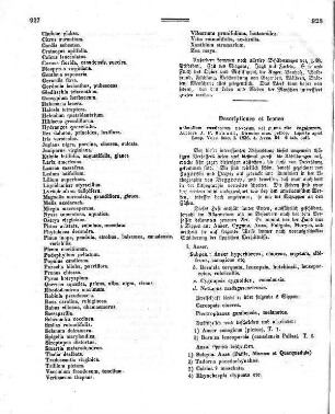 Descriptiones et Icones animalium rossicorum novorum vel minus rite cognitorum / auctore J[ohann] F[riedrich] Brandt, Director mus. petrop. - Lipsiae : Leop. Voss. - fasc. I, 1836