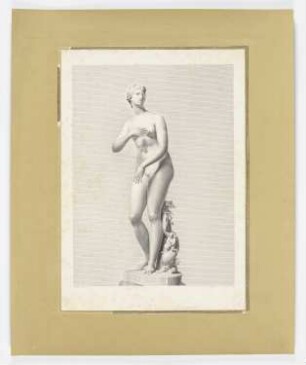 Venus Medici