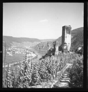 Burgruine Metternich