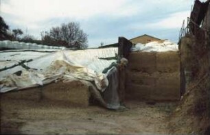 Fotografie: Lagertechnik, Flachsilo, Fahrsilo, Silomais
