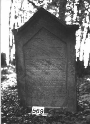 Grabstein 589 (Index: 99900721) Material: Sandstein Zustand: stark verwittert Maße HxBxT: 134x82x21 cm Beschreibung: Stele mit eingezogenem Dreiecksabschluss, mit Verdachung: Grabstein 589