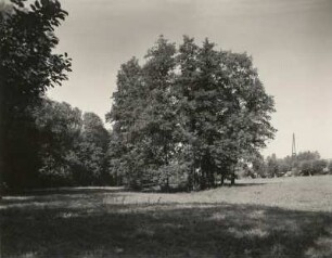 Gebergrund zwischen Kauscha und Goppeln. Blick talauf