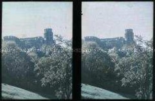 Blick vom Scheffeleck auf das Schloss Heidelberg