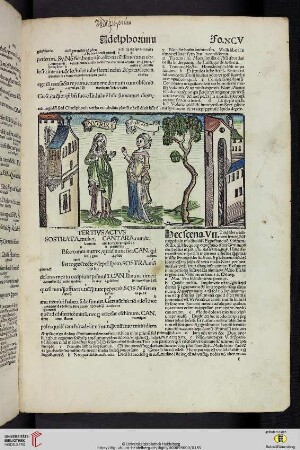 Tertius actus