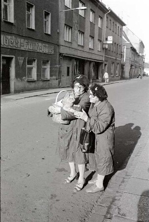 Zwei Frauen mit Katze