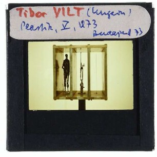 Vilt, Plastik V