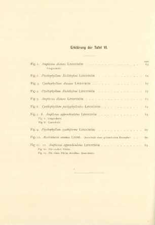 Erklärung der Tafel VI.