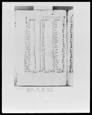 Evangeliar — ---, Folio 2versoKanontafel