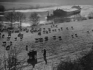 Archivfotografie "neckar_landschaft_1611"